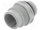 Connector: DIN 43651; socket; NR; male; PIN: 7; w/o contacts; 10A HIRSCHMANN