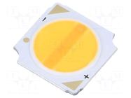 Power LED; COB,bicolour; white warm; 120°; 50÷420mA; Pmax: 17W ProLight Opto