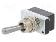 Switch: toggle; Pos: 2; SPST; ON-OFF; 6A/250VAC; R13-25; 50mΩ; 1kV SCI