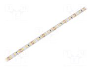 LED tape; white warm; 2835; LED/m: 120; 8mm; white PCB; IP20; 20W/m WISVA OPTOELECTRONICS