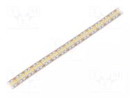 LED tape; white warm; 2835; LED/m: 240; 12mm; white PCB; IP20; 25W/m WISVA OPTOELECTRONICS