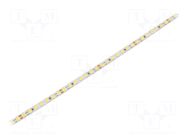 LED tape; white neutral; 2835; LED/m: 168; 5mm; white PCB; IP20 WISVA OPTOELECTRONICS