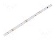 White cold; 315; LED/m: 60; 8mm; white PCB,side light emission WISVA OPTOELECTRONICS