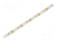 LED tape; white cold; 2835; LED/m: 96; 8mm; white PCB; IP65; 15W/m WISVA OPTOELECTRONICS