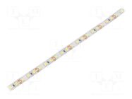 LED tape; white cold; 2835; LED/m: 120; 8mm; white PCB; IP20; 20W/m WISVA OPTOELECTRONICS