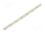 LED tape; white cold; 3528; LED/m: 240; 10mm; white PCB; IP20; 16W/m WISVA OPTOELECTRONICS