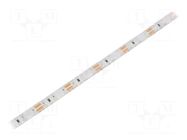 LED tape; red; 2835; LED/m: 96; 8mm; white PCB; IP65; 15W/m; 12VDC WISVA OPTOELECTRONICS