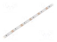 LED tape; red; 2835; LED/m: 96; 8mm; white PCB; IP20; 15W/m; 12VDC WISVA OPTOELECTRONICS