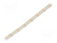 LED tape; white warm; 3528; LED/m: 240; 10mm; white PCB; IP65; 16W/m WISVA OPTOELECTRONICS