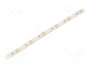 LED tape; white neutral; 2835; LED/m: 96; 8mm; white PCB; IP65 WISVA OPTOELECTRONICS
