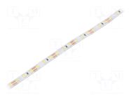 LED tape; white neutral; 2835; LED/m: 96; 8mm; white PCB; IP20 WISVA OPTOELECTRONICS