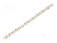 LED tape; white neutral; 3528; LED/m: 240; 10mm; white PCB; IP65 WISVA OPTOELECTRONICS