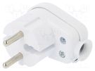 Connector: AC supply; male; plug; 2P; 250VAC; 16A; white; for cable TIMEX-ELEKTRO