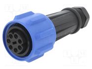 Connector: circular; plug; female; PIN: 7; Buccaneer 900; for cable BULGIN