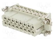 Connector: HDC; contact insert; female; HA; PIN: 16; 16+PE; size 5 TE Connectivity