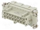 Connector: HDC; contact insert; female; HE; PIN: 16; 16+PE; size 6 TE Connectivity
