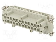 Connector: HDC; contact insert; female; HE; PIN: 24; 24+PE; size 8 TE Connectivity