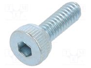 Screw; M2x6; 0.4; Head: cheese head; hex key; HEX 1,5mm; steel; zinc 