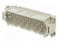 Connector: HDC; male; HD; PIN: 64; 64+PE; size 8; w/o contacts; 10A TE Connectivity