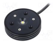 LED; 2.8÷3.02VDC; white cold; 5700K; 342lm; IP54; CRImin: 70; 120° Ledxon