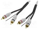 Cable; RCA plug x2,control,both sides; 5m; for amplifier 4CARMEDIA