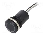 Switch: capacitive; Pos: 2; SPST-NC; 0.01A/12VDC; IP68; ON-(OFF) BULGIN