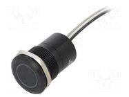 Switch: capacitive; Pos: 2; SPST-NO; 0.01A/12VDC; IP68; OFF-ON; MC BULGIN