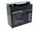 Re-battery: acid-lead; 12V; 17Ah; AGM; maintenance-free; EP EUROPOWER