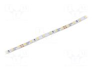 LED tape; white cold; 2216; LED/m: 140; 3.5mm; white PCB; IP20 WISVA OPTOELECTRONICS
