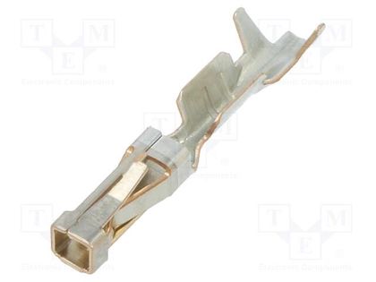 SHORT POINT RECP CONT LP TE Connectivity 1-104480-6