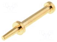 Test pin; 10mm; pin terminal Ø0.95mm AXIOMET