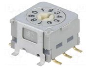 Encoding switch; DEC/BCD; Pos: 10; horizontal; Rcont max: 30mΩ NKK SWITCHES