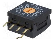 Encoding switch; HEX/BCD; Pos: 16; THT; Rcont max: 100mΩ; 10x10x4mm NKK SWITCHES