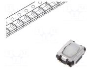 Microswitch TACT; SPST; Pos: 2; SMT; none; 2.4N; 2.9x3.5x1.4mm PANASONIC