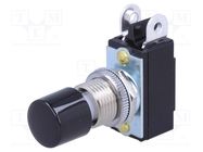 Switch: push-button; Pos: 2; SPST; 3A/125VAC; 1.5A/250VDC; ON-(OFF) NKK SWITCHES