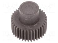 Spur gear; whell width: 16mm; Ø: 19mm; Number of teeth: 36; ZCL ELESA+GANTER