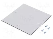 Mounting plate; plastic; light grey RITTAL