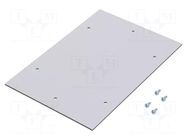 Mounting plate; plastic; light grey RITTAL