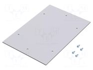 Mounting plate; plastic; light grey; PK RITTAL