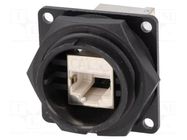 Connector: RJ45; socket; DC; PIN: 8; Cat: 5e; shielded; 8p8c; IDC SWITCHCRAFT