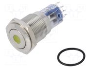 Switch: vandal resistant; DPDT; 3A/250VAC; IP67; ON-(ON); amber BULGIN