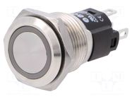 Switch: vandal resistant; Pos: 2; SPDT; 3A/240VAC; 3A/240VDC; 24V EAO