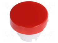 Cap; Ø15x12.2mm; red-white; YB; YB NKK SWITCHES