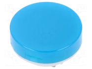 Cap; Ø19x9mm; blue-white; LB Panel Seal NKK SWITCHES