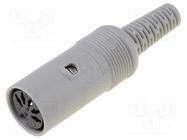 Connector: DIN; plug; female; PIN: 5; Layout: 180°; straight HIRSCHMANN