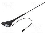 Antenna; 0.4m; Alfa Romeo,Fiat; with amplifier; 0.3m 