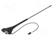 Antenna; car top; 0.4m; AM,FM; Audi; with amplifier; 0.3m 4CARMEDIA