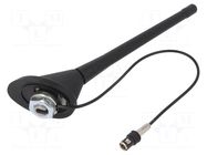 Antenna; car top; 0.175m; AM,FM; Audi; with amplifier; 0.3m 4CARMEDIA