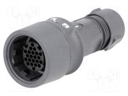 Connector: circular; plug; female; PIN: 22; w/o contacts; for cable BULGIN