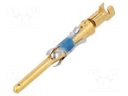 Contact; male; 16; brass; gold-plated; 0.8÷1.4mm2; 18AWG÷16AWG TE Connectivity